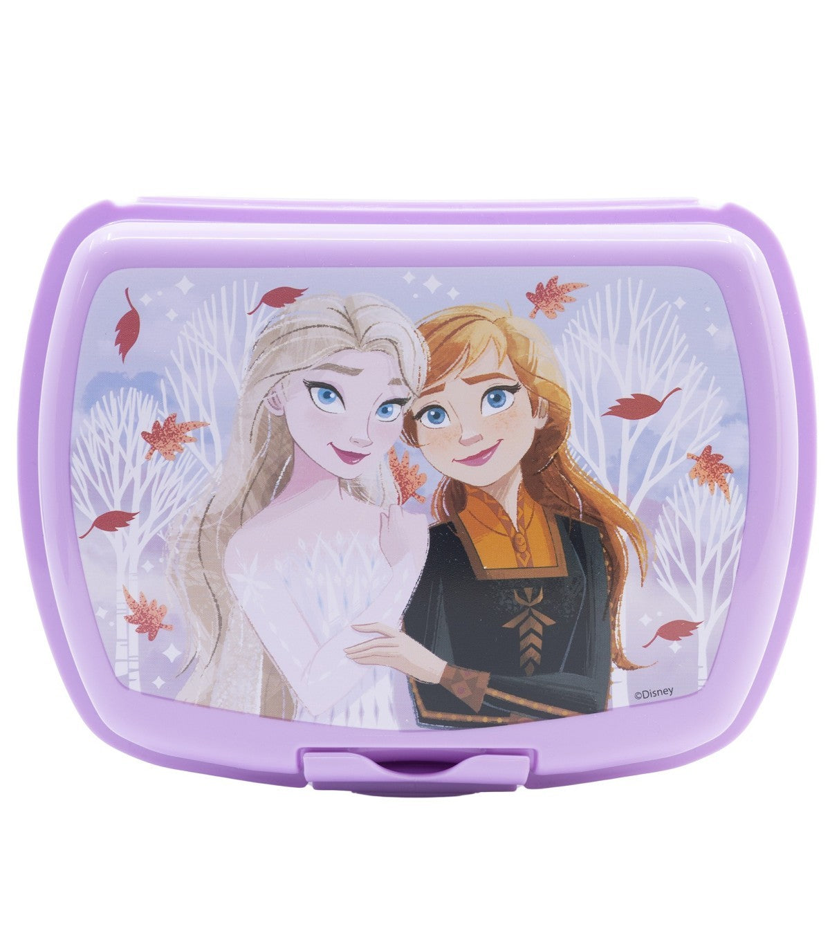 STOR URBAN SANDWICH BOX FROZEN AUTUM LEAVES