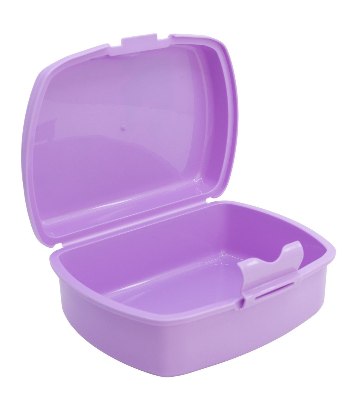 STOR URBAN SANDWICH BOX FROZEN AUTUM LEAVES